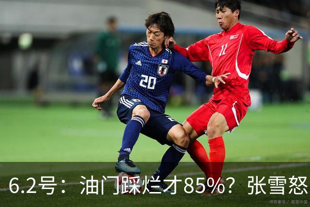 6.2号：油门踩烂才85%？张雪怒了：FIM的电子脚镣！